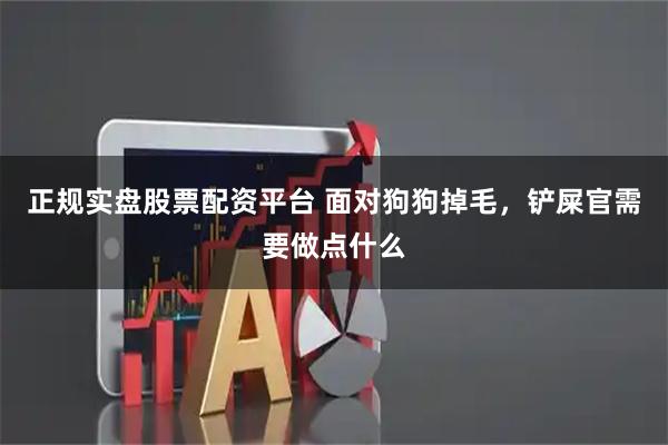 正规实盘股票配资平台 面对狗狗掉毛，铲屎官需要做点什么
